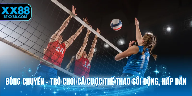Bóng chuyền - Trò chơi cá cược thể thao sôi động, hấp dẫn