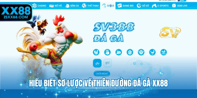 Hiểu biết sơ lược về thiên đường đá gà XX88