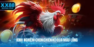 Kinh nghiệm chọn chiến kê qua màu lông